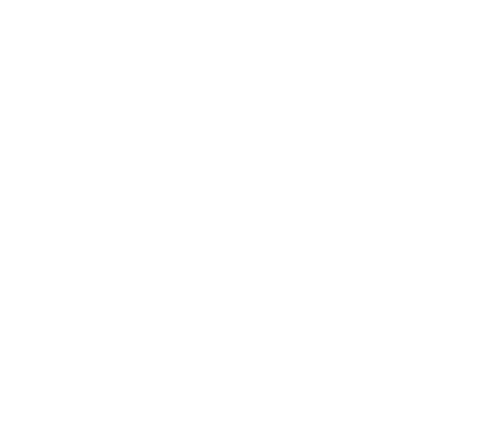 Snowflake Icon
