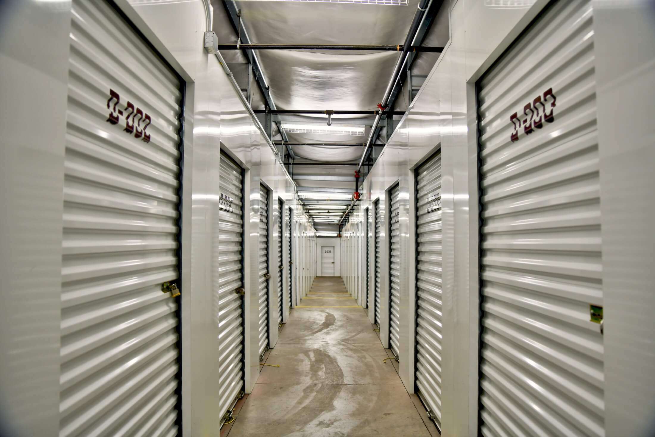 Long corridor of climate-controlled storage units with white roll-up doors, secured with locks, inside a clean, well-lit facility.